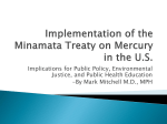 Implementation of the Minamata Treaty on Mercury in the U.S.