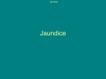 Jaundice