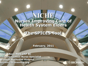 Nurses Improving Care of Health Systems Elders