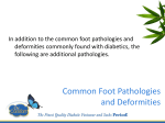 Common Foot Pathologies and Deformities