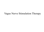 Vagus Nerve Stimulation Therapy