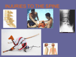 Injuries to the Spine - Lewiston School District