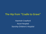 The Hip from Cradle to Grave