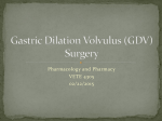 Gastric Dilation Volvulus (GDV) Surgery