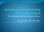 Geriatric Sensory Processing and Fall Prevention