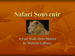 Safari Souvenir