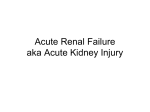 Acute Renal Failure aka Acute Kidney Injury