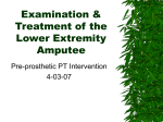 Examination & Treatment of the Lower Extremity Amputee