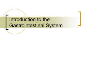 Introduction to the Gastrointestinal System
