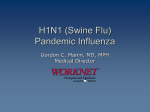 Disaster Preparedness Scenario: Pandemic Influenza