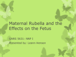 Maternal Rubella and the Effects on the Fetus