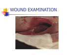 WOUND EVALUATION - Erie Community College