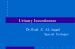 Urinary Incontinence - Latest Publications | An