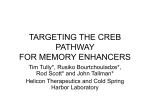 TARGETING THE CREB PATHWAY FOR MEMORY ENHANCERS