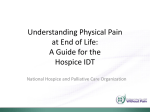 Understanding Physical Pain: A Guide for the Hospice IDT