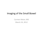 Imaging of the Small Bowel
