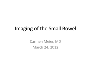 Imaging of the Small Bowel