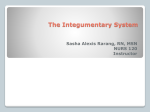 The Integumentary System