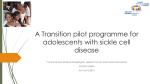 A Transition pilot programme for adolescents with sickle cell disease