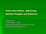 Crisis Oriented Risk Assessments