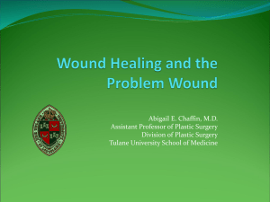 The Principles of Wound Healing