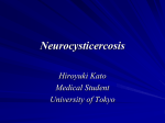 Neurocystirocercosis