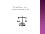 Tasks for the Veterinary Assistant