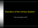 Disorders of the Urinary System