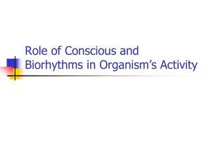 Role of Conscious and Biorhythms in Organism´s Activity