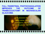 full prp improves the outcome of trabeculectomy in nvg