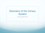 Disorders of the Urinary System