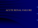 ACUTE RENAL FAILURE