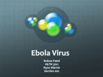 Ebola Virus - Rohan Patel