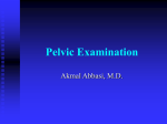 Pelvic Examination