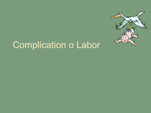 Chapter 22: Processes and Stages of Labor and Birth