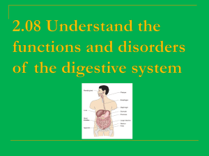 Functions of the Digestive System