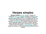 10 Herpes simplex