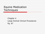 Medication Techniques4-2 - Dr. Brahmbhatt`s Class Handouts