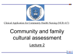 (2) Community and family cultural assessment - Home