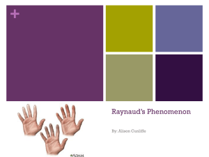 Raynaud`s Phenomenon - Embryo