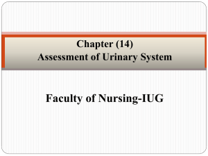 Assessment of Urinary System