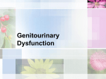 Genitourinary Dysfunction