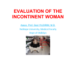 evaluation of the inkontinent woman