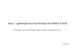 Lightweight Security Primitives for MANET & WSN