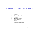 Data Link Control