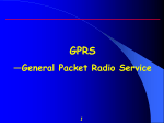 GPRS Network