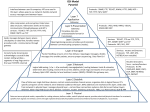 OSI Model Pyramid - Redbird Internet Services