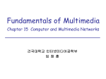 Computer and multimedia networks (FM)