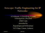 Netscope: Traffic Engineering for IP Networks