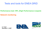 Tests e supporto per l’ENEA GRID
